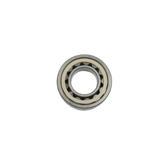 Роликовый подшипник BITZER; 38620004